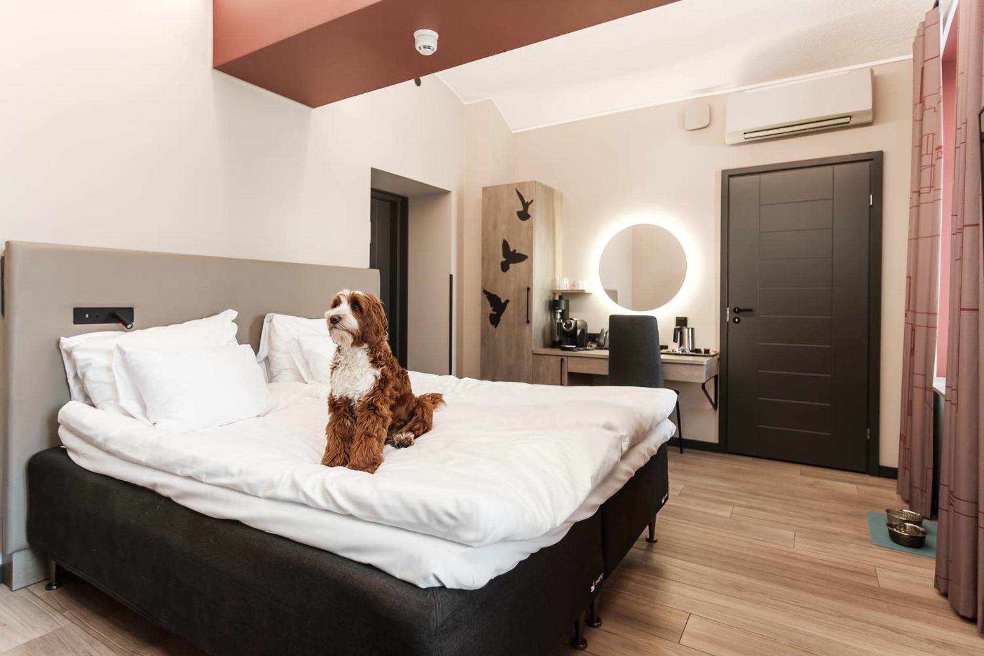 Kakola Hotel 4*